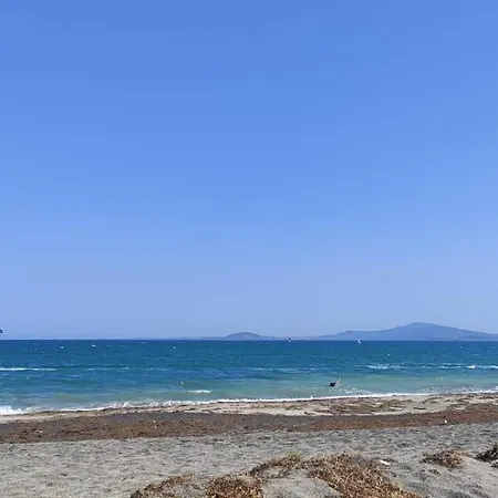 Palazzo Family Sunny